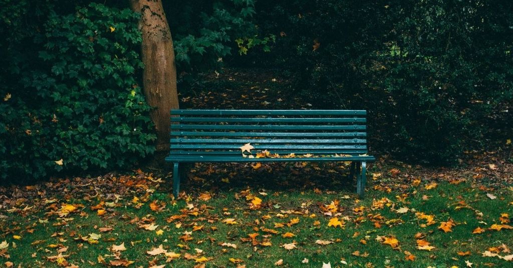 Trūksta idėjų pasivaikščiojimui? Štai gražiausių parkų Vilniuje sąrašas