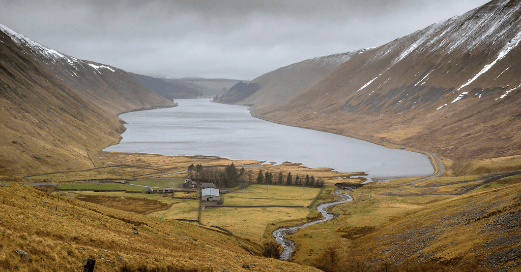 Green update: Scotland tree planting site visit
