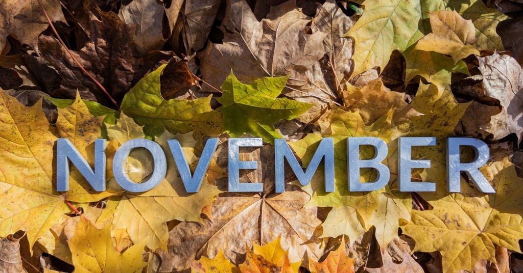 Élvezd a novemberi programokat a Bolt taxival! 