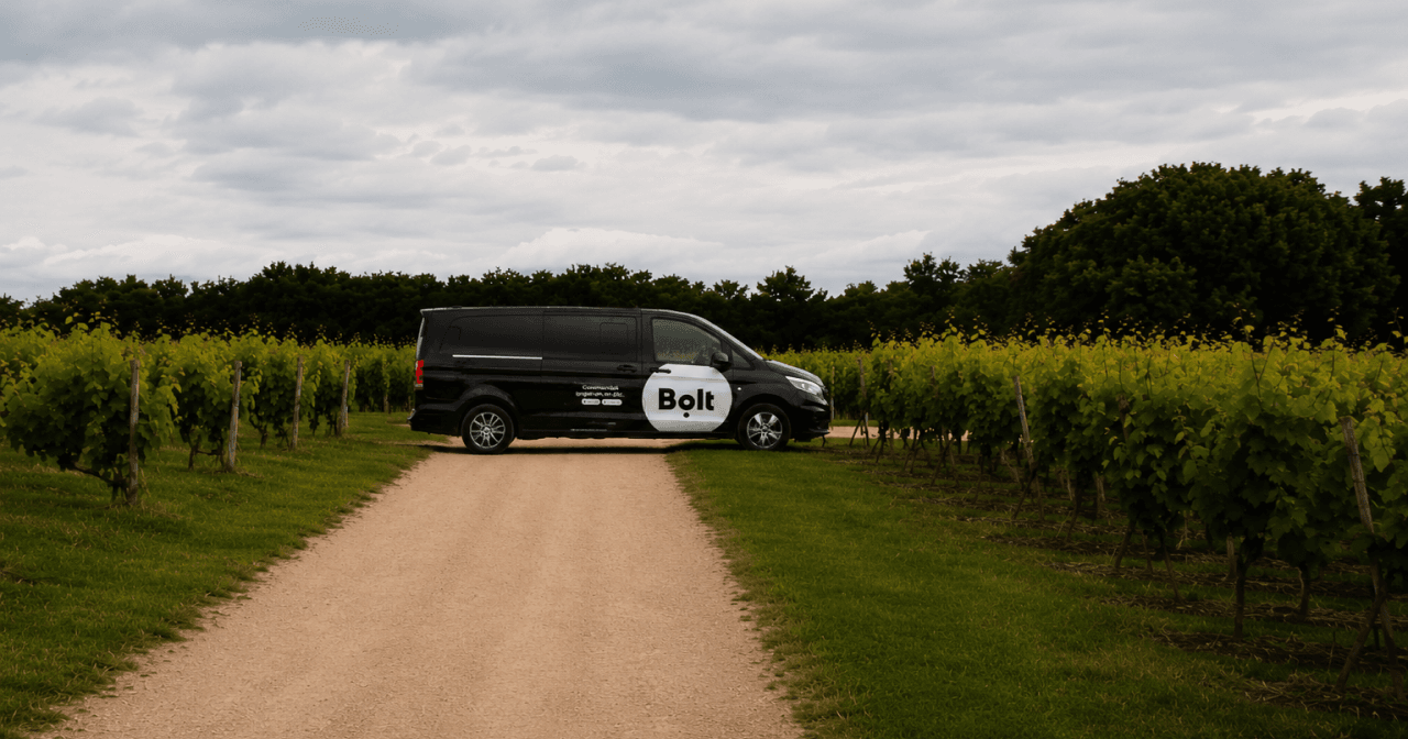 Bolt Vignobles : explorez les vignobles bordelais à votre rythme
