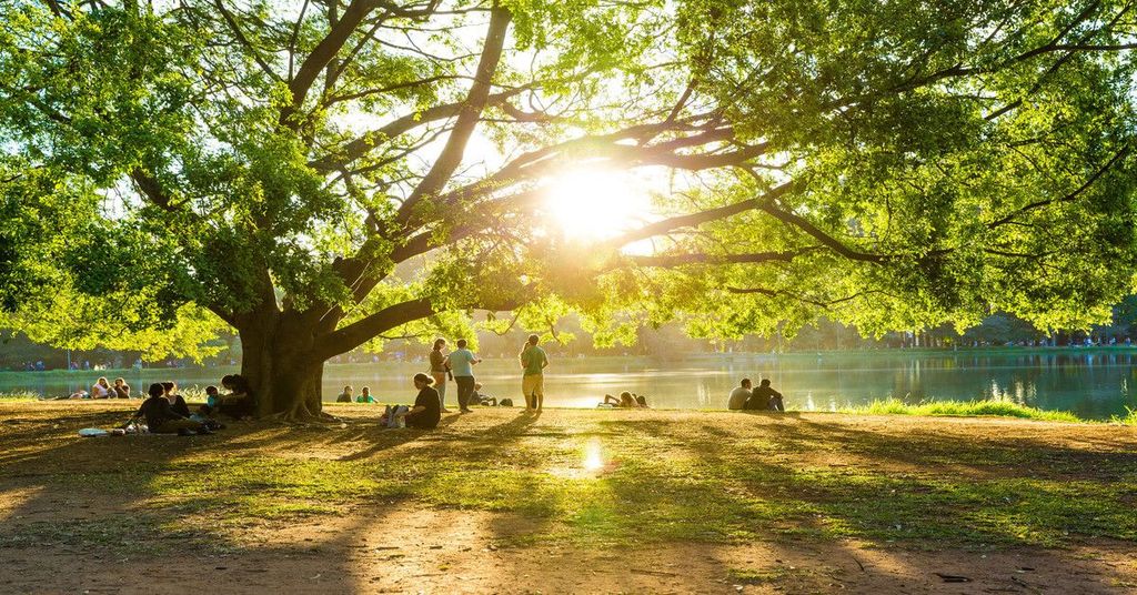 Feels like home –  zöld oázisok és belvárosi nyugalom