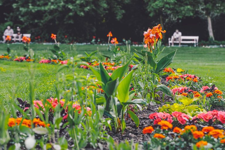 Nőnap a legszebb budapesti kertekben
