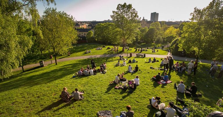 What do the world’s most liveable cities have in common?
